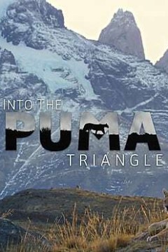 走进美洲狮三角