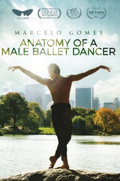 男性芭蕾舞演员的解剖