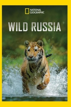 狂野俄罗斯第二季