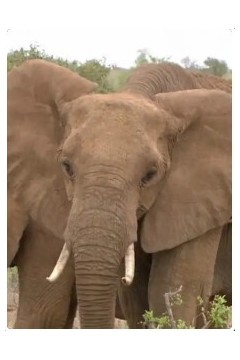 自然奇境第一季