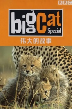 大猫日记伟大的故事