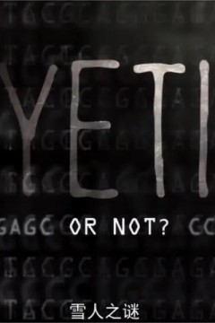 雪人之谜第一季