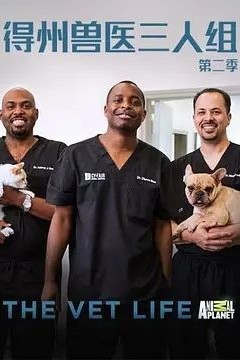 德州兽医三人组第二季