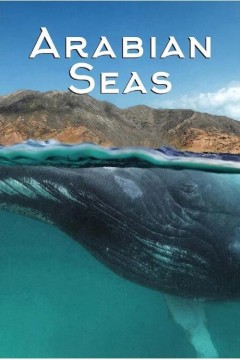 阿拉伯海第一季