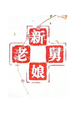 新老娘舅2018