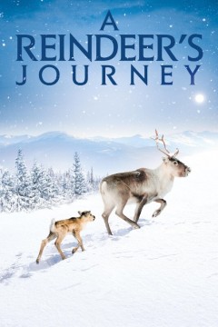 小鹿艾洛：极地的冒险史诗