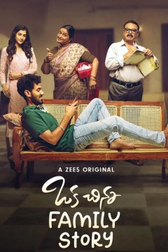 一个小家庭的故事