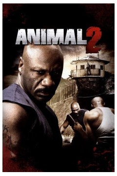 动物2