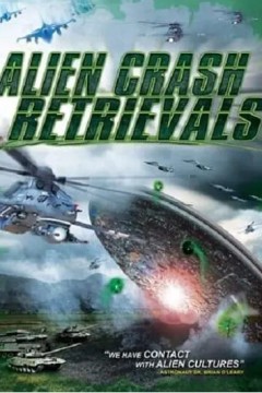 外星人崩溃检索