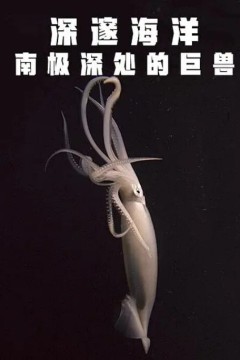 深邃海洋：南极深处的巨兽