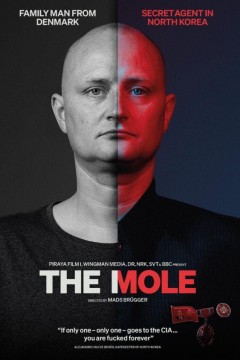 鼹鼠：朝鲜卧底
