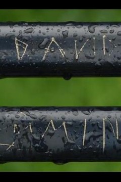 《放大》的放大