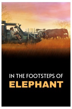 《大象》幕后特辑