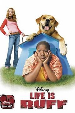 天才宝弟的狗日子