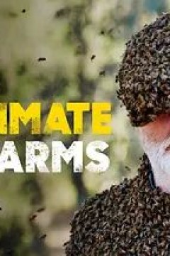 群居动物的疯狂世界