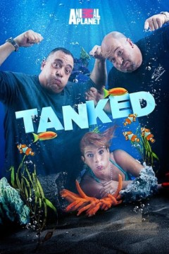 百变水族箱第一季