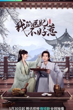 我的医妃不好惹第三季