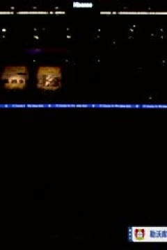 德甲联赛 勒沃库森VS云达不莱梅 20250308