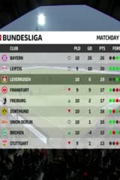 德甲联赛 波鸿VS勒沃库森 20241109