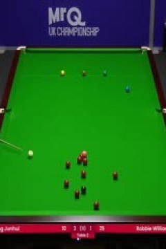 2023斯诺克英锦赛资格赛晋级轮丁俊晖6-3罗比·威廉姆斯20231122(李照)