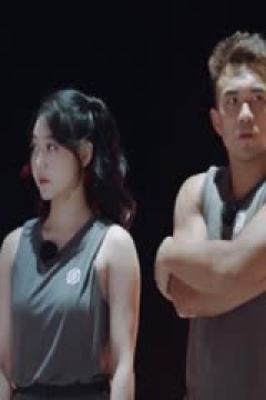 德甲 达姆施塔特VS美因茨 (刘洪新)20231111