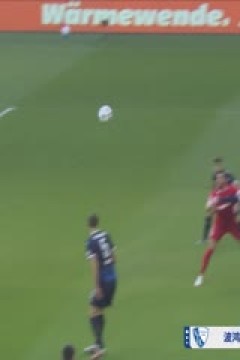 德甲联赛 波鸿VS多特蒙德 20250215