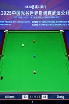 2025斯诺克武汉公开赛四分之一决赛马克·威廉姆斯5-1张安达20250828
