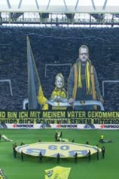 德甲 达姆施塔特vs沃尔夫斯堡 20231216(刘洋)