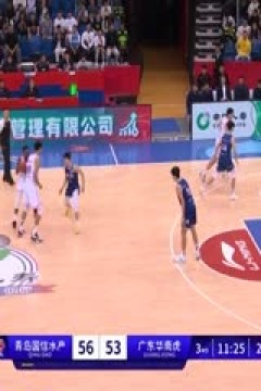CBA常规赛第6轮 青岛国信水产VS广东华南虎 20231105(王言)