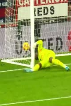 英超联赛 狼队VS南安普顿 20241109