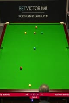 斯诺克克里斯·沃克林4-0安东尼·汉密尔顿20231018