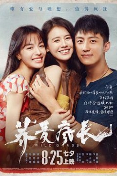 和荞麦一起疯长的日子上集