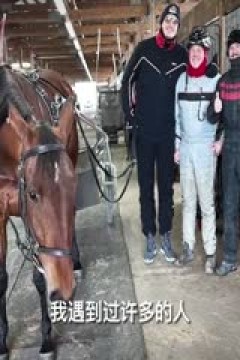 NBA常规赛 太阳VS掘金 20240306