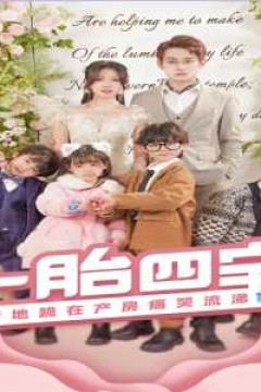一胎四宝，爹地跪在产房痛哭流涕(新：命中注定我爱你)