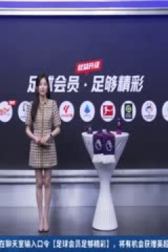 英超联赛 富勒姆VS利物浦 20240421