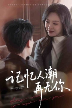 记忆人潮再无你