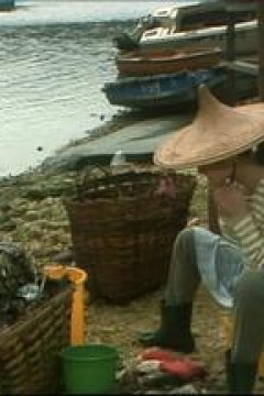 一千灵异夜之血追忆