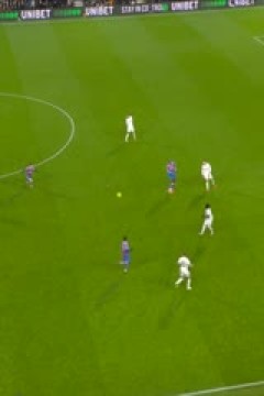 英超联赛 富勒姆VS水晶宫 20251208