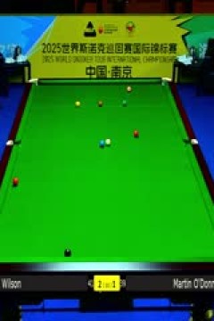 2025斯诺克国际锦标赛延期资格赛第一轮马丁·奥唐纳1-6加里·威尔逊20251102