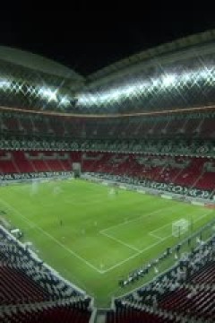 亚冠精英联赛阶段 加拉法体育VS艾因 20241002