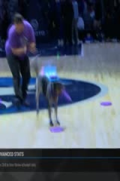 NBA常规赛 猛龙VS森林狼 20241027