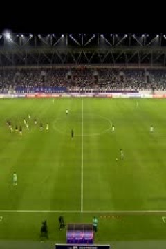 足协杯 日照宇启华信VS河南俱乐部酒祖杜康 20240621