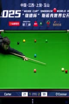 斯诺克玉山世界公开赛半决赛乔·奥康纳6-3阿里·卡特20250228