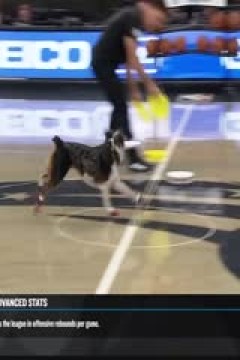 NBA常规赛 活塞VS魔术 20231209