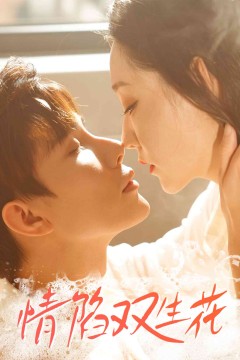情陷双生花