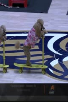 NBA常规赛 国王VS鹈鹕 20231123