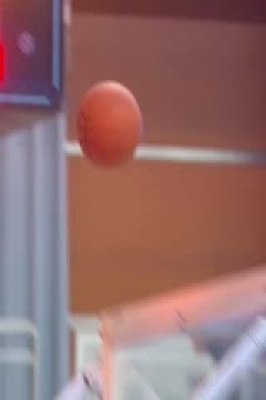 CBA夏季联赛 新疆伊力特VS天津先行者 20240825