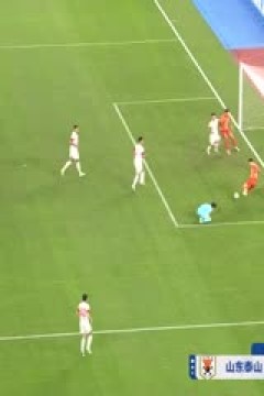 足协杯决赛 山东泰山VS上海海港 20241123