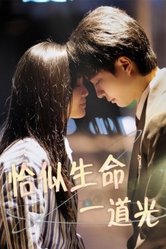 恰似生命一道光