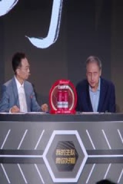 世俱杯八分之一决赛 帕尔梅拉斯VS博塔弗戈 20250629